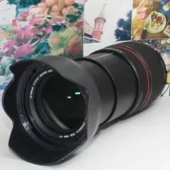 ❤️標準から超望遠まで１本で対応❤️Nikon用 タムロン 28-300mm❤️