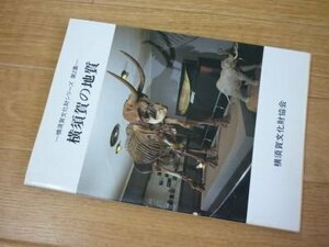 横須賀の地質 (横須賀文化財シリーズ〈第2集〉)