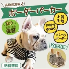 犬服 ボーダーパーカー 美品 M 小型犬 秋冬