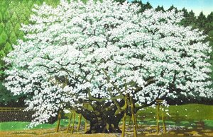 (5-34890)井堂雅夫『根尾の淡墨桜』45/500 版画 木版画 多色摺り 風景 直筆サイン 証明シール 絵画 真作【緑和堂】