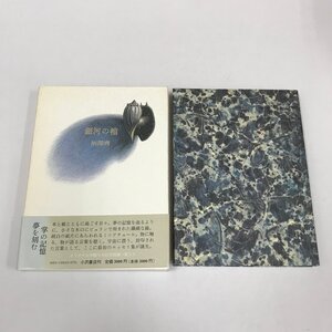 NB/L/銀河の棺/著:柄澤齊/小沢書店/1995年3月15日第2刷発行/木版画欠け/函入り/帯あり/エッセイ