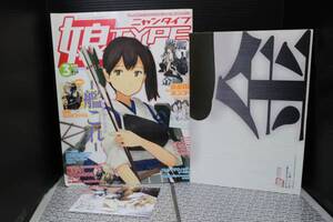 娘TYPE(ニャンタイプ) 2014年3号 艦これ リリカルなのは 特典ポスター付