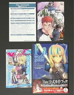 Fate/world guide  フェイト/ワールドガイド  特典付き 初版