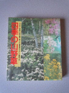 四季の山野草/花の咲く季節で分類・薬効・食べ方・果実酒のやさしい解説つき　　近藤嘉和　　緒方出版