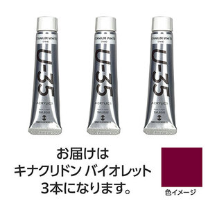 まとめ得 ターナー色彩 U35 キナクリドンバイオレット20ml 3個 TURNER108660 x [2個] /l