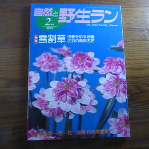 ＹＮ1-240910☆自然と野生ラン 2010年2月号　