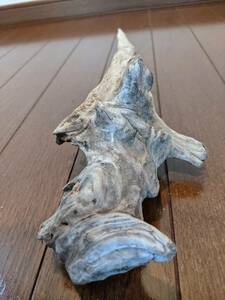 ☆天然流木 水槽 １点物　アクアリウム オブジェ アート 48×9×10cm 大和川河口 爬虫類 インテリア　 大型　