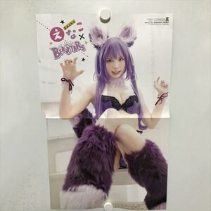 B18920 ◆えなこ 約50cm×31cm ポスター ★5点以上同梱で送料無料★