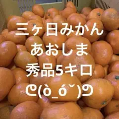 三ヶ日みかん　あおしま　秀品約5キロ