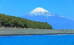 フリー画像 風景 山 即決 1円 ⑳