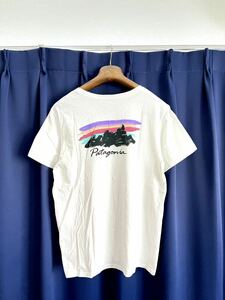 ☆patagoniaパタゴニア☆半袖Tシャツ/レトロデザインプリントM 男女共用