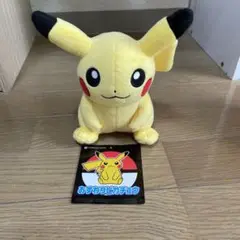 ポケモン　ピカチュウ　ぬいぐるみ