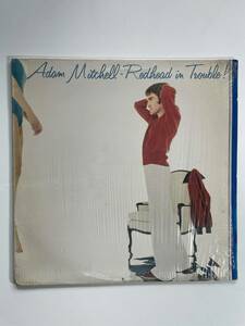 03553 【直輸入盤】 Adam Mitchell/Redhead In Trouble