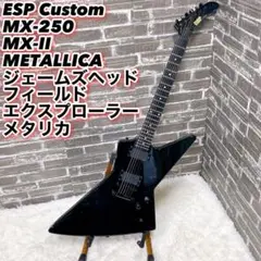 ESP Custom MX-250 MX-II METALLICA メタリカ