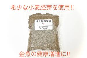 健康増進の金魚のエサ　真空パックミシロ彩金魚胚芽育成用 細粒 沈下性 150ｇ らんちゅう・土佐金・オランダ・東錦にも最適な金魚の餌　