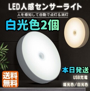 人感センサー 人感ライン 人感センサーライト 電球色 LED ワイヤレス 自動点灯 小型 ナイトライト 常夜灯 USB充電式室内 廊下玄関 