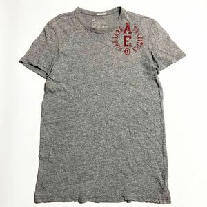 American Eagle ☆ フロッキー ヴィンテージ加工 Tシャツ 半袖 霜降り グレー タイトフィット S アメカジ 古着 アメリカンイーグル■SAP396