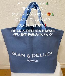 新品 ちょっとしたプレゼントにいかが？ 大人気 品切れDEAN & DELUCA HAWAII 使い勝手抜群の中バッグ