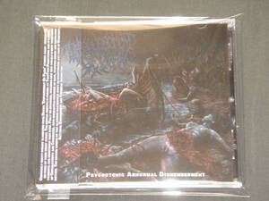 DISFIGUREMENT OF FLESH/PSYCHOTONIC ABNORMAL DISMEMBERMENT/スラミング・ブルータル・デス・メタル/SLAMMING BRUTAL DEATH METAL