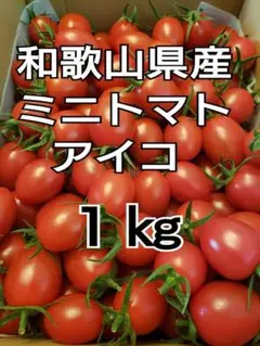 和歌山県産 ミニトマト アイコ １kg