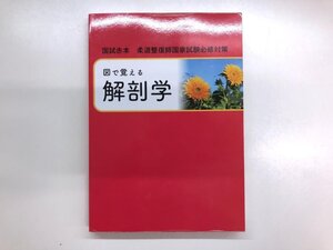 ★　【図で覚える解剖学 白誠書房 2018年】195-02408