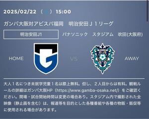 2025/02/22(土) 15:00ガンバ大阪対アビスパ福岡　カテゴリー6自由席　招待　招待チケット　J1リーグ　ガンバ大阪　アビスパ福岡　
