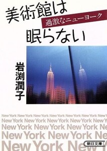 美術館は眠らない 過激なニューヨーク 朝日文庫/岩渕潤子(著者)