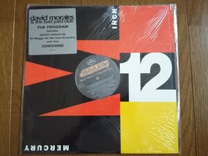 USMUS ★ 中古 LPレコード David Morales & The Bad Yard club : The Program 12インチ 美品 ハウス