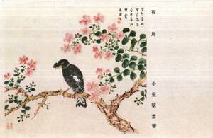 絵葉書　軍事郵便　陸軍恤兵部発行　小室翆雲筆　“花鳥”　戦時美術絵画絵はがき