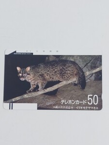 イリオモテヤマネコ　テレカ　テレフォンカード　50度数　未使用品