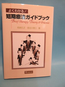 短期療法ガイドブック　よくわかる！　　若島孔文・長谷川啓三著　　金剛出版　　2000年5月　　