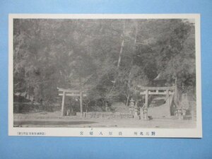 m793長崎県対馬厳原八幡宮絵葉書