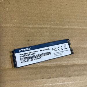 (B11)中古 FORESEE SSD FSGSCLC-256G 256GB M.2 2280 SATA