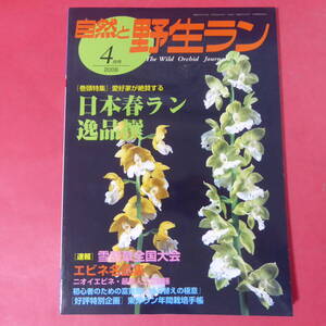 YN3-250109☆自然と野生ラン ◆ 2008年4月号　日本春ラン　雪割草　エビネ　富貴蘭