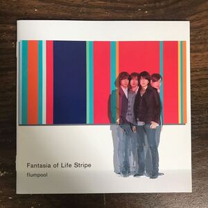 528 帯付 中古CD100円 flumpool Fantasia of Life Stripe (ファンタジア オブ ライフ ストライプ)