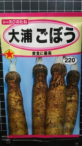 ３袋セット 大浦 ごぼう 牛蒡 種 郵便は送料無料