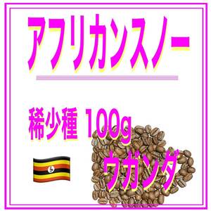 自家焙煎珈琲　アフリカンスノー　100ｇ　送料無料