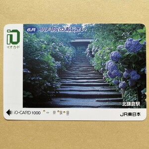 【使用済】 花イオカード JR東日本 6月 明月院のあじさい