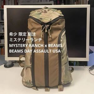 希少 別注 ミステリーランチ MYSTERY RANCH BEAMS DAY ASSAULT USA 限定 美品 送料無料