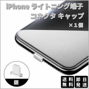 iPhone ライトニング コネクタ 保護キャップ 銀色 Lightning 1個 シルバー Apple アイフォン iPad R050