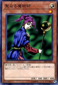 遊戯王 聖なる魔術師 ノーマル ストラクチャーデッキR ロード・オブ・マジシャン SR08-JP020 リバース 魔法使い族 セイント・マジシャン