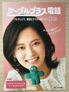 小島瑠璃子(表紙) ★ケーブルテレビ期間限定　★A4パンフ(たたんだ状態) ★新品・非売品。