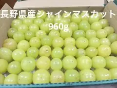 [訳あり]長野県産シャインマスカット　960g