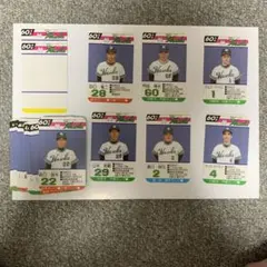 タカラプロ野球カード昭和60年南海ホークス30枚プラス予備カード2枚セット