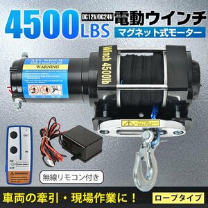 1円 ウインチ 12v 電動ウインチ 電動 巻き上げ 車載 小型 車 4500 ロープ 軽量 無線リモコン 巻き上げ機 トロリー 強力 牽引 sg078