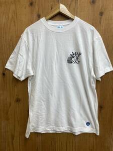 新品　Lサイズ Map of sky beauty&youth united arrows Tシャツ ホワイト 半袖 クルーネック 白 メンズ　ユナイテッドアローズ　犬