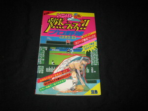  燃えろ!!プロ野球　完全必勝本