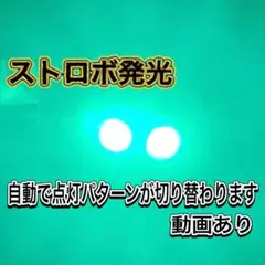 緑　ストロボライト バイク 自動車 LED 蛍 暴走 デイライト ポジション