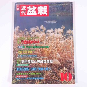 月刊 近代盆栽 No.156 1990/10 近代出版 雑誌 盆栽総合誌 園芸 ガーデニング 植物 特集・新大追跡スペシャル(後編) 実物盆栽と黄紅葉盆栽