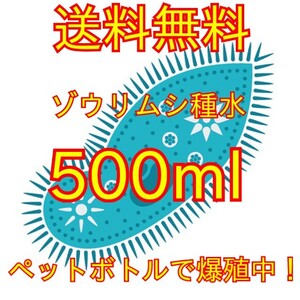 ★ネコポス発送★史上最強★絶対の自信あり★密度が違います★簡単培養ゾウリムシ500ml★